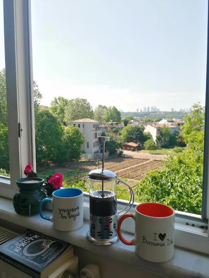 Lovely Flat In Greens At The Heart Of Kuzguncuk Istanbulská provincie