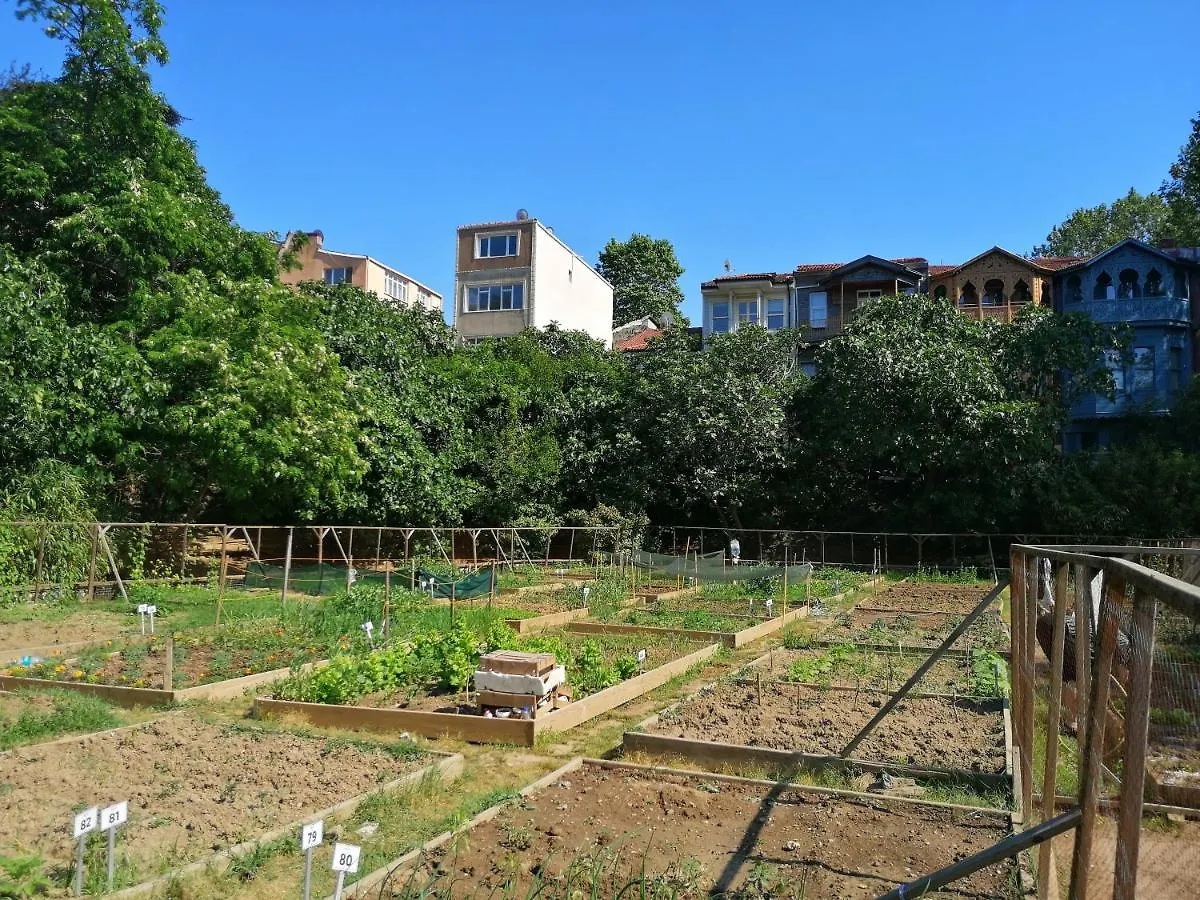 Lovely Flat In Greens At The Heart Of Kuzguncuk Istanbulská provincie Turecko