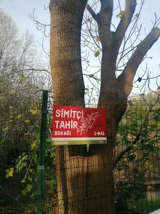 Apartment Lovely Flat In Greens At The Heart Of Kuzguncuk Istanbul
