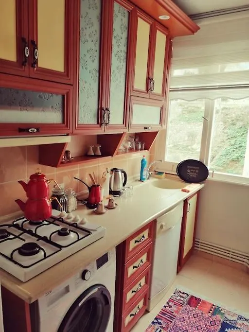Apartment Lovely Flat In Greens At The Heart Of Kuzguncuk Istanbul
