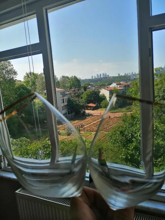 Apartment Lovely Flat In Greens At The Heart Of Kuzguncuk Istanbul