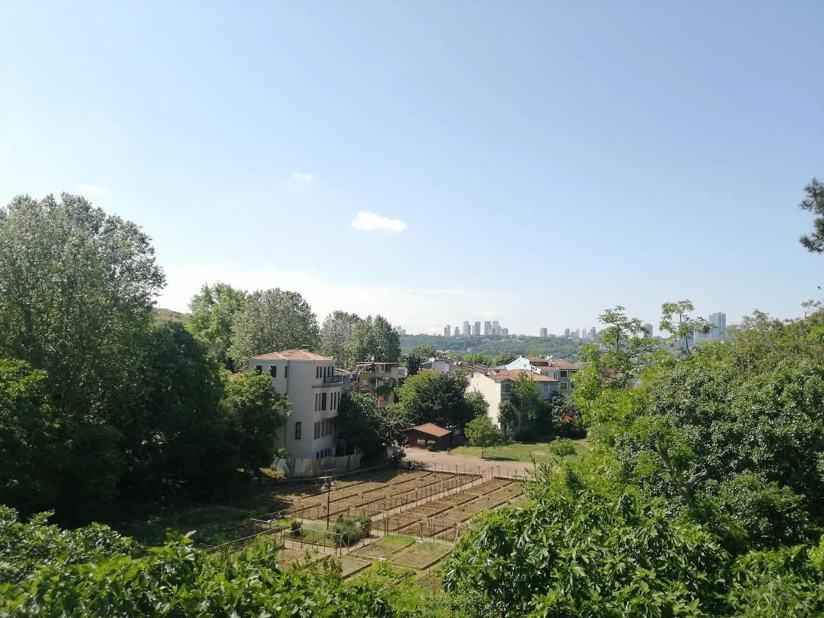 Apartment Lovely Flat In Greens At The Heart Of Kuzguncuk Istanbul