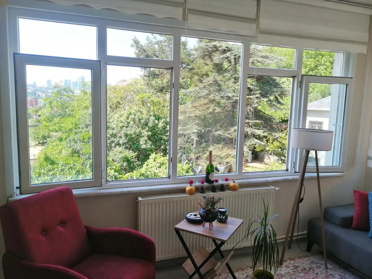 Apartment Lovely Flat In Greens At The Heart Of Kuzguncuk Istanbul